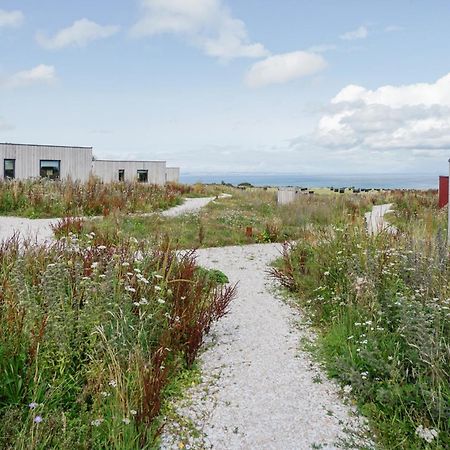 Rustic Cabins, Sea Views From Rewilded Farm With Highland Cows Сент-Ендрюс Екстер'єр фото