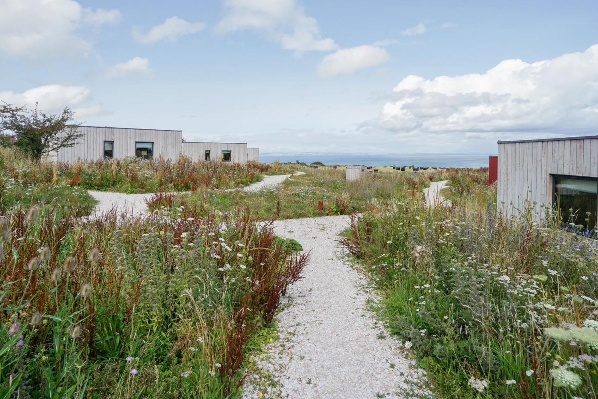 Rustic Cabins, Sea Views From Rewilded Farm With Highland Cows Сент-Ендрюс Екстер'єр фото