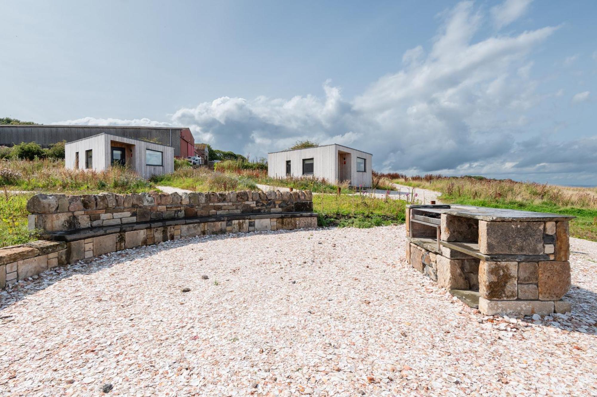 Rustic Cabins, Sea Views From Rewilded Farm With Highland Cows Сент-Ендрюс Екстер'єр фото