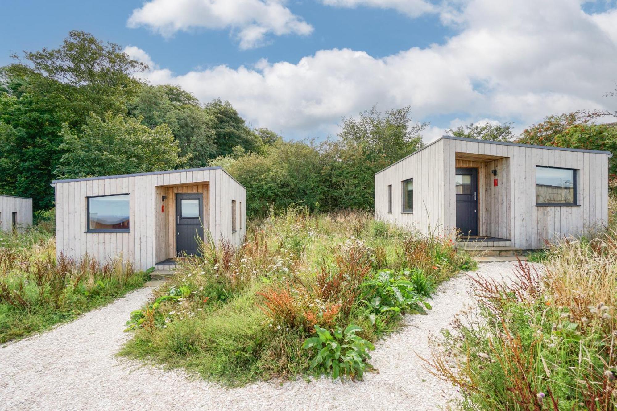 Rustic Cabins, Sea Views From Rewilded Farm With Highland Cows Сент-Ендрюс Екстер'єр фото